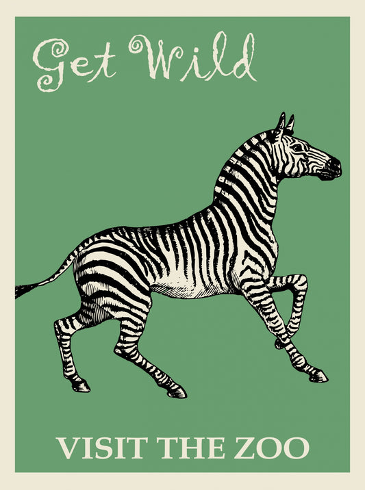 Zoo-Zebra